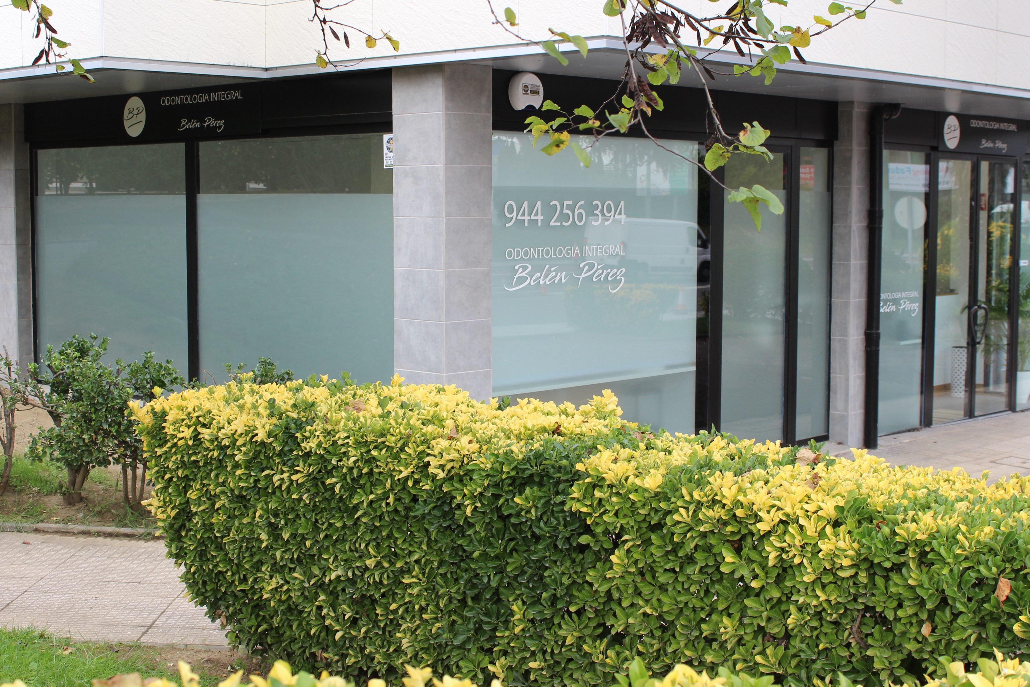 Clínica dental en Getxo