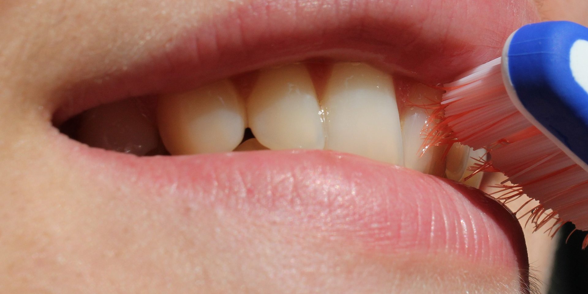 salud dental
