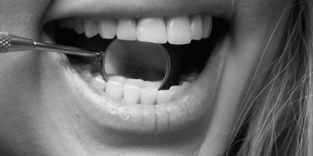 Estructura y capas del diente